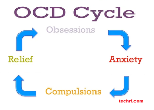 ocd life cycle